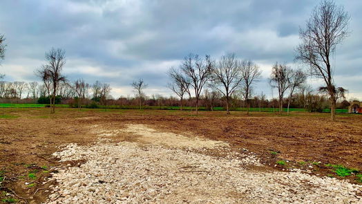Missouri City null-story, null-bed 0 Knights Court-idx