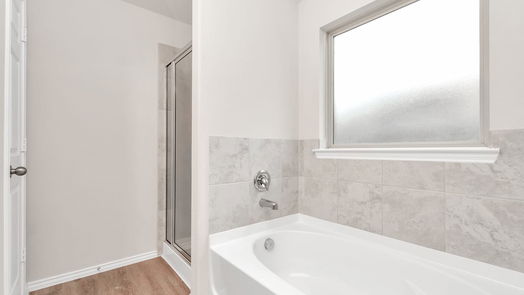 Missouri City 1-story, 4-bed 3611 Champions Cove Lane-idx