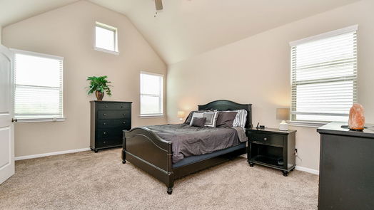 Missouri City 2-story, 3-bed 2515 Terrace Point Drive-idx