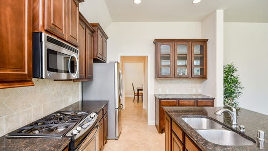 Missouri City 1-story, 4-bed 3 Painted Grove Court-idx