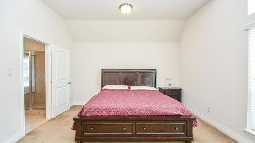 Missouri City 1-story, 4-bed 3 Painted Grove Court-idx