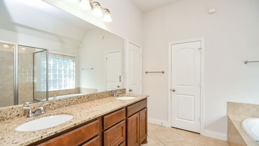 Missouri City 1-story, 4-bed 3 Painted Grove Court-idx