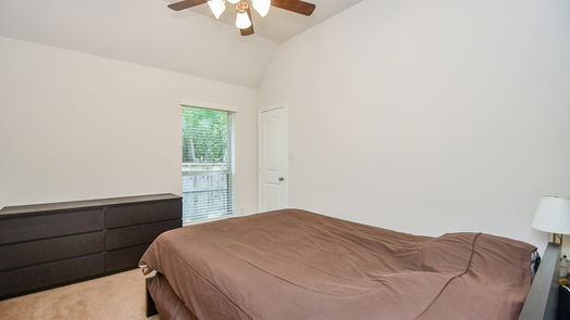 Missouri City 1-story, 4-bed 3 Painted Grove Court-idx