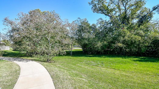 Missouri City 1-story, 4-bed 3 Painted Grove Court-idx
