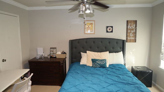 Missouri City 2-story, 3-bed 3006 Antler Way-idx