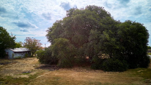 Needville 1-story, 3-bed 5007 Reeh Road-idx