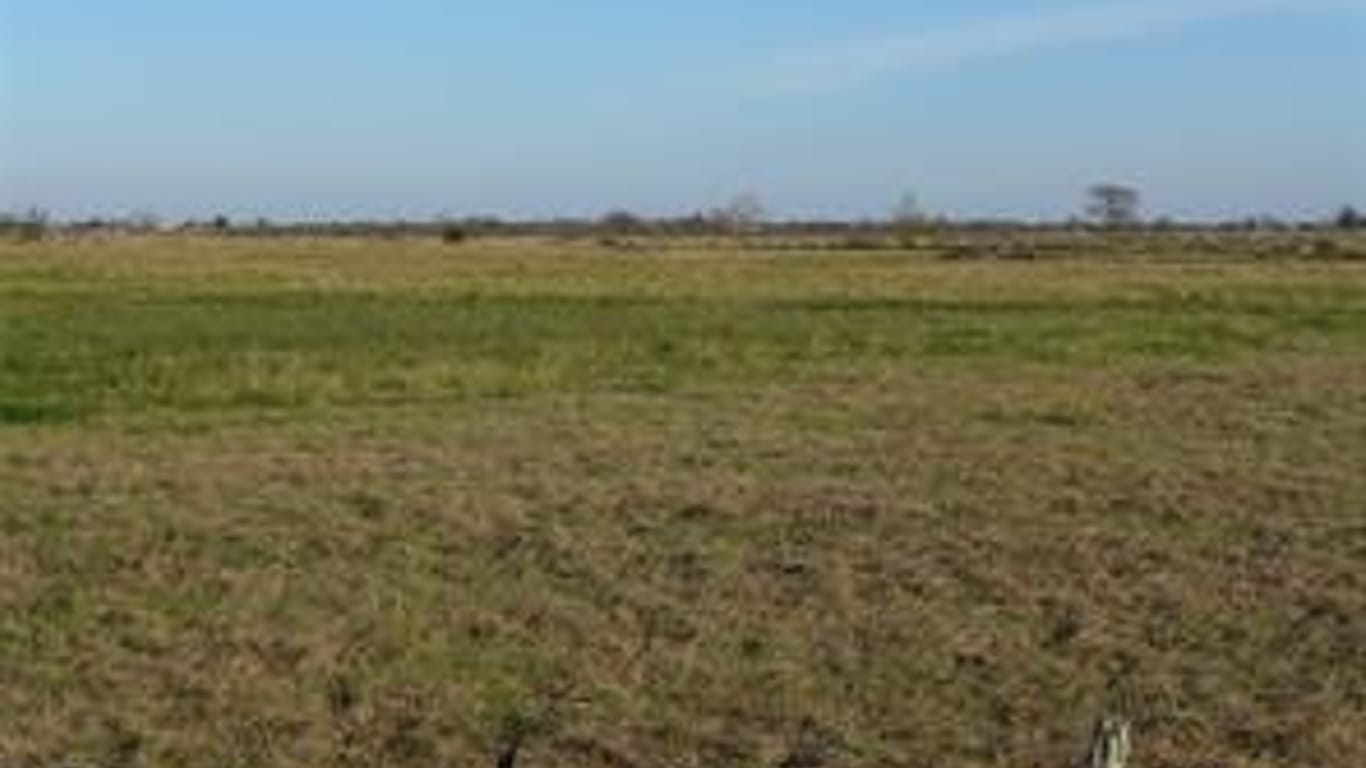 Needville null-story, null-bed TBD12 Kocurek Road-idx