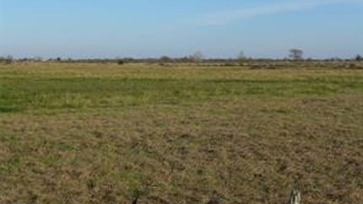 Needville null-story, null-bed TBD12 Kocurek Road-idx