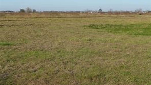 Needville null-story, null-bed TBD12 Kocurek Road-idx