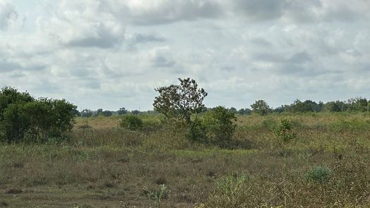 Needville null-story, null-bed TBD12 Kocurek Road-idx