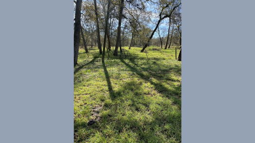 Needville null-story, null-bed 15425 Tierra Grande Drive-idx