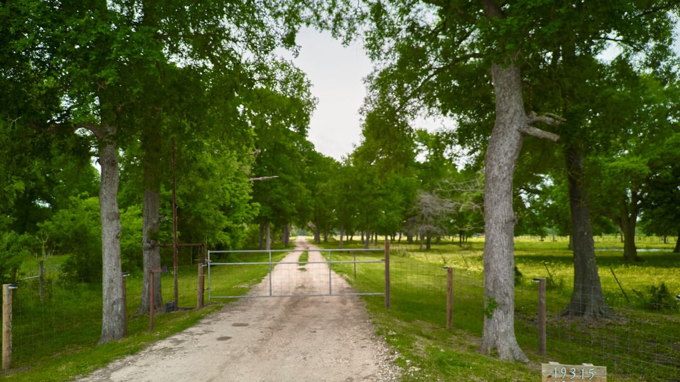 Needville 1-story, 4-bed 19319 Fm 442 Road-idx