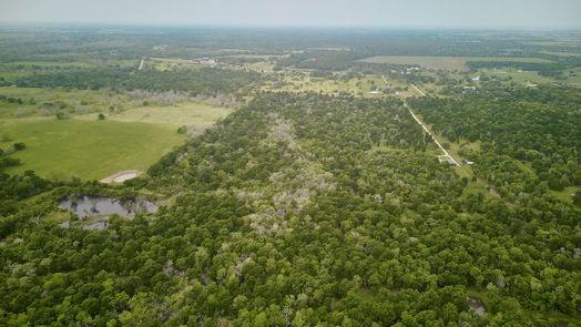 Needville 1-story, 4-bed 19319 Fm 442 Road-idx