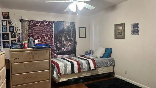 Needville null-story, 4-bed 13907 Mueck Road-idx