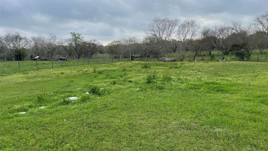 Needville 1-story, 4-bed 13417 Kanak Road-idx