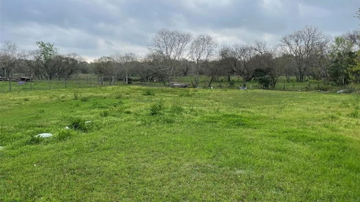 Needville 1-story, 4-bed 13417 Kanak Road-idx