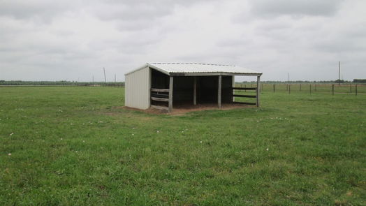 Needville 1-story, null-bed 11121 Mueck Road-idx