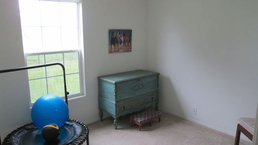 Needville 1-story, null-bed 11121 Mueck Road-idx