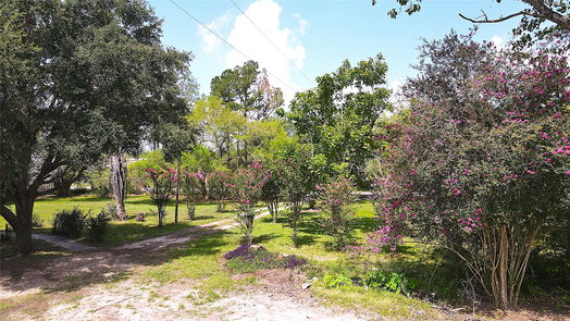 Needville 1-story, 3-bed 17909 Julia Avenue-idx