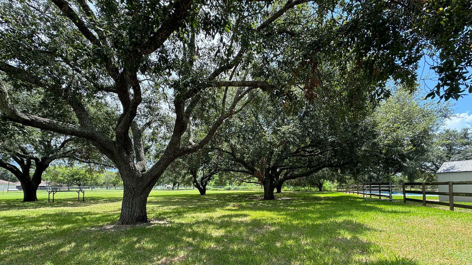 Needville 1-story, 4-bed 5411 Rancho Drive Drive-idx