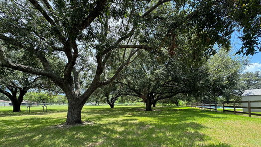 Needville 1-story, 4-bed 5411 Rancho Drive Drive-idx