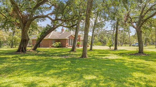 Needville 1-story, 4-bed 13327 E Brazos Bend Drive-idx