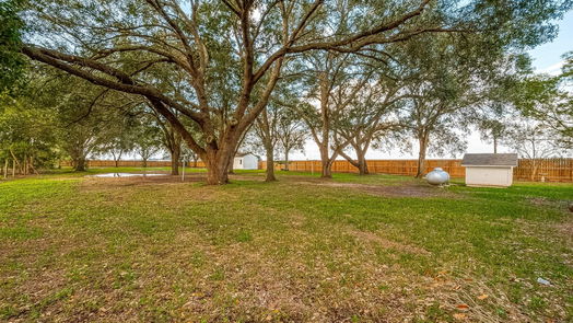 Needville null-story, 3-bed 11426 Needville Fairchilds Road-idx