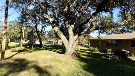 Needville null-story, 3-bed 6626 Mildred Road-idx