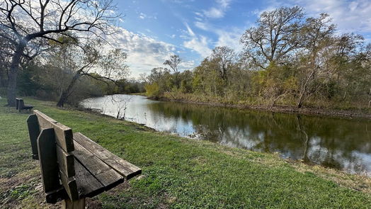 Needville null-story, null-bed 15415 Tierra Grande Drive-idx