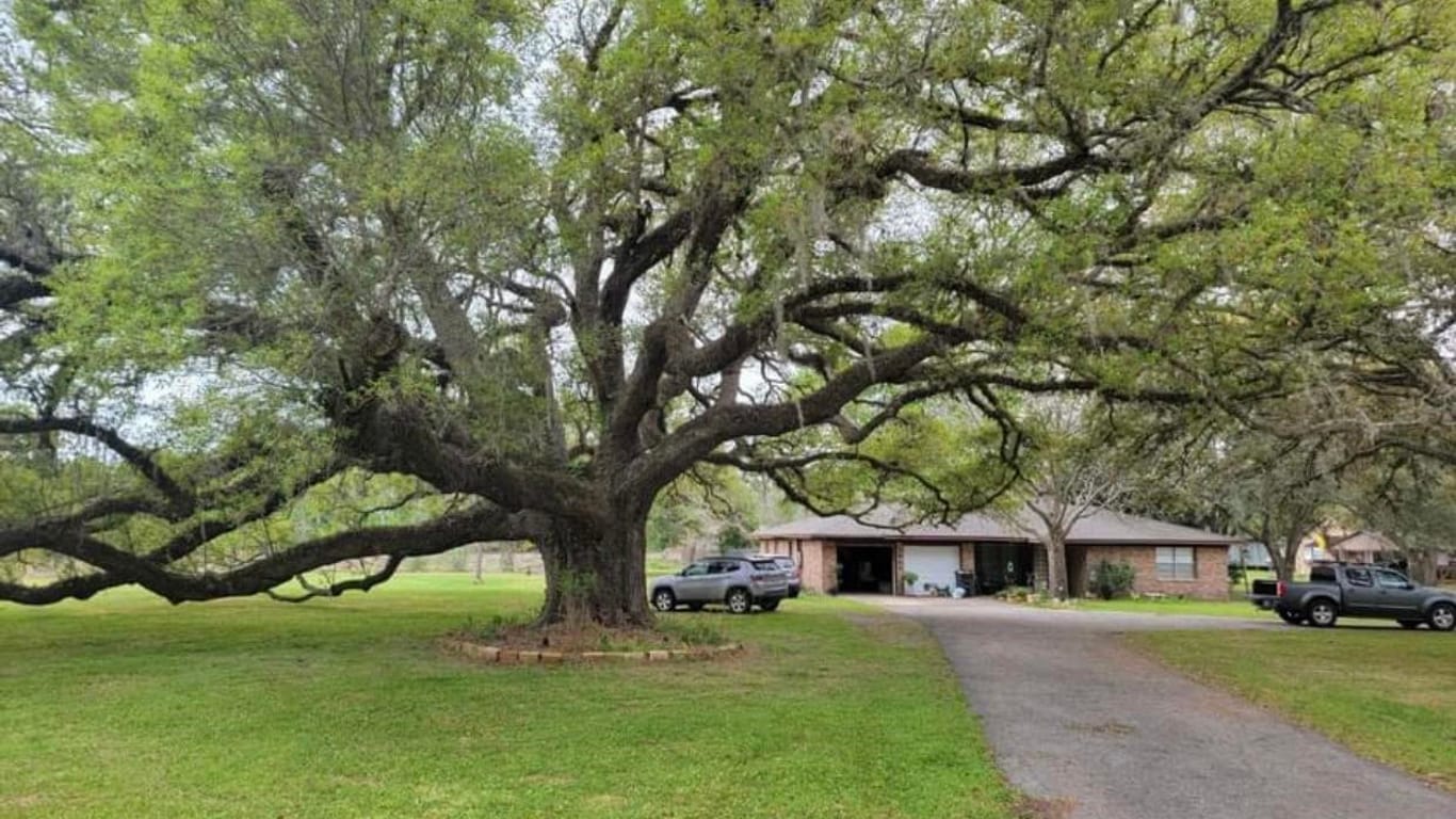 Richmond 1-story, 4-bed 1819 Y U Jones Road-idx