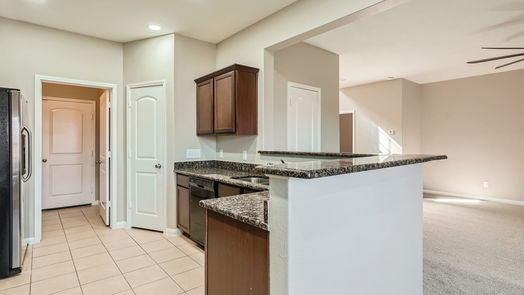 Rosenberg 2-story, 4-bed 2507 Golden Brandy Lane-idx
