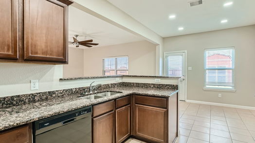 Rosenberg 2-story, 4-bed 2507 Golden Brandy Lane-idx