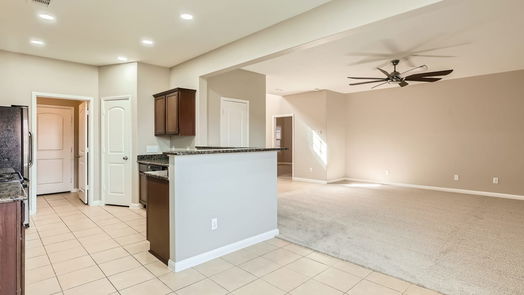 Rosenberg 2-story, 4-bed 2507 Golden Brandy Lane-idx