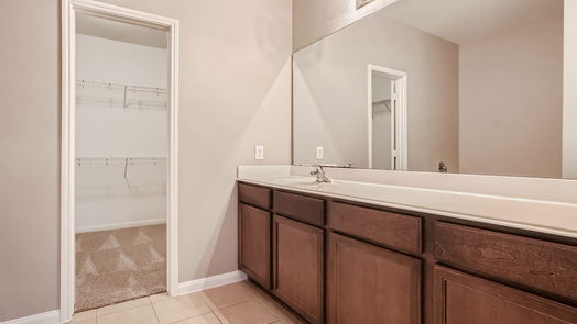 Rosenberg 2-story, 4-bed 2507 Golden Brandy Lane-idx