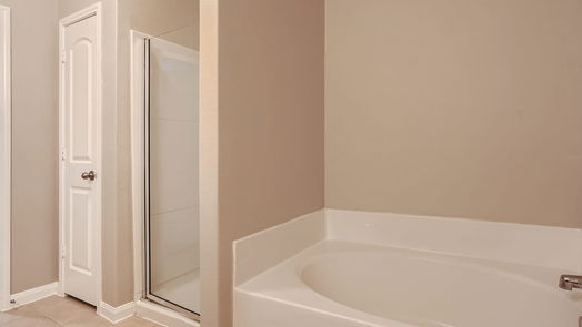 Rosenberg 2-story, 4-bed 2507 Golden Brandy Lane-idx