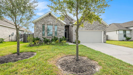 Rosenberg 1-story, 3-bed 4719 Purple Fountain Drive-idx