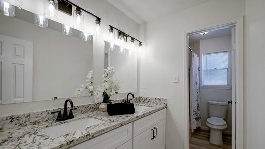Rosenberg 1-story, 4-bed 2505 Fm 360 Road-idx