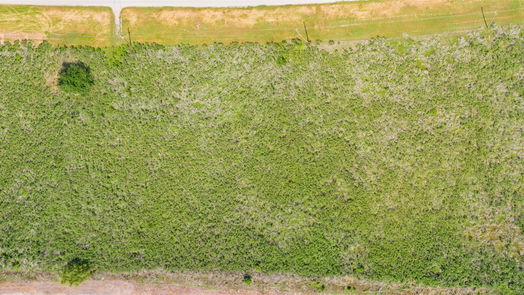 Rosenberg null-story, null-bed 0 Tx-10-Spur-idx