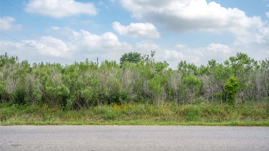 Rosenberg null-story, null-bed 0 Tx-10-Spur-idx