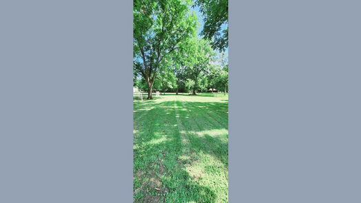 Rosenberg 1-story, 3-bed 1516 Bernie Avenue-idx