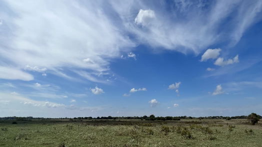 Sealy null-story, null-bed 0 Schultz Road-idx