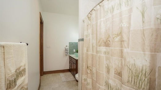 Sealy 1-story, 4-bed 825 Grubbs Road-idx