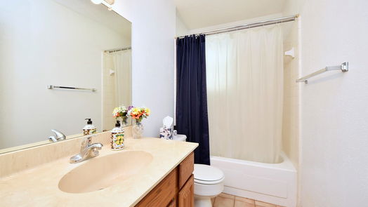 Meadows Place 1-story, 3-bed 11914 Brighton Lane-idx