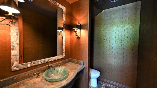 Sugar Land 2-story, 5-bed 326 W Alkire Lake Drive-idx