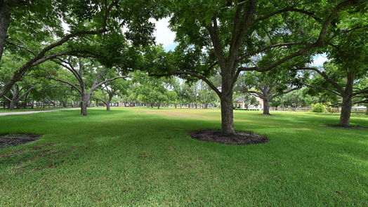 Sugar Land 2-story, 5-bed 326 W Alkire Lake Drive-idx