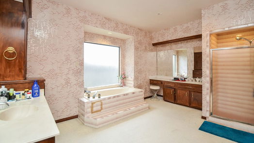 Sugar Land 2-story, 4-bed 1730 Hodge Lake Lane-idx