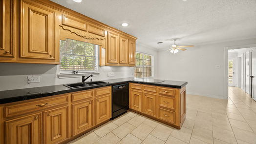 Sugar Land 1-story, 4-bed 811 Piedmont Street-idx