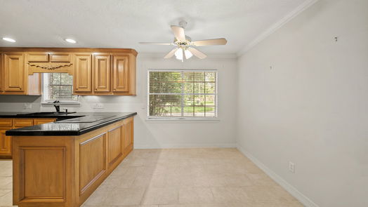Sugar Land 1-story, 4-bed 811 Piedmont Street-idx