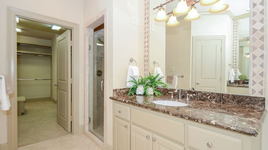 Sugar Land 4-story, 3-bed 1368 Lake Pointe Parkway-idx