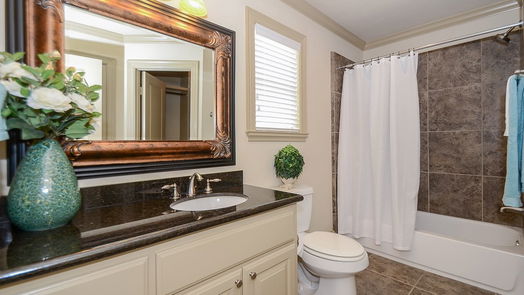 Sugar Land 4-story, 3-bed 1368 Lake Pointe Parkway-idx